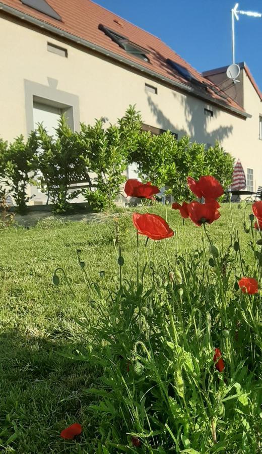 Le Feneau Maison D'Hotes Creuzier-le-Neuf Exterior foto
